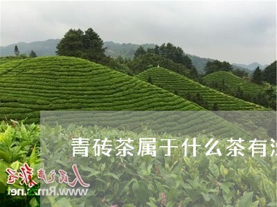 青砖茶属于什么茶有没有保质期/2023053174946