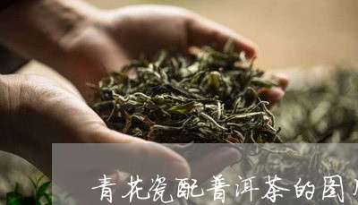 青花瓷配普洱茶的图片高清/2023082739491