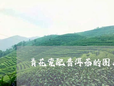 青花瓷配普洱茶的图片高清/2023110435150