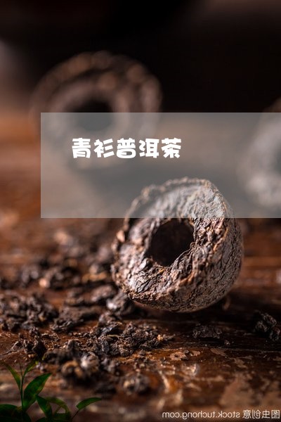 青衫普洱茶/2023090596947