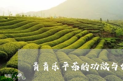 青青乐平茶的功效与作用/2023051106051