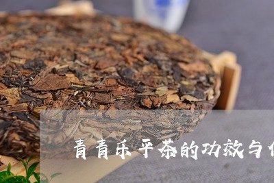 青青乐平茶的功效与作用/2023051148361