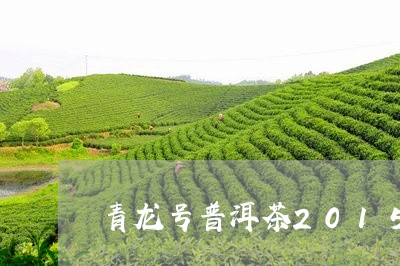 青龙号普洱茶2015/2023100739570