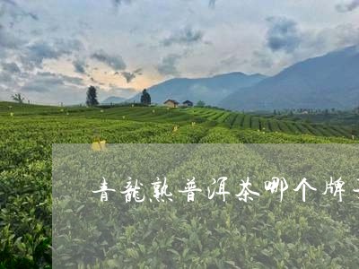 青龙熟普洱茶哪个牌子好/2023122029614