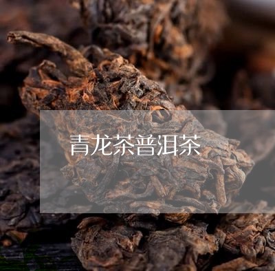 青龙茶普洱茶/2023042857730