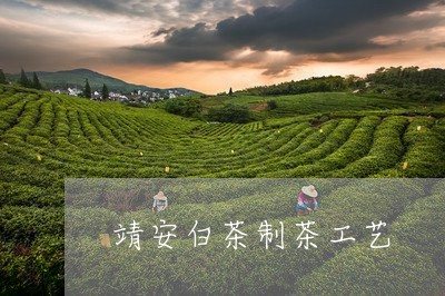 靖安白茶制茶工艺/2023071319471