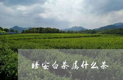 靖安白茶属什么茶/2023071395059