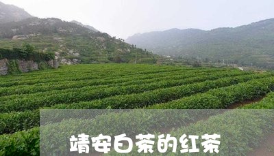 靖安白茶的红茶/2023061039381