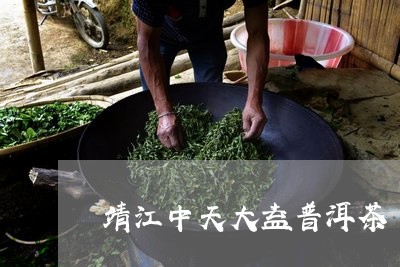 靖江中天大益普洱茶/2023071009693