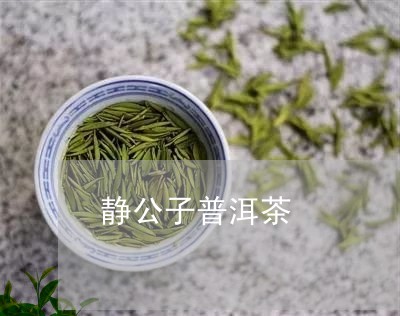 静公子普洱茶/2023042868219