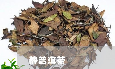 静普洱茶/2023121863816