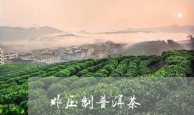 非压制普洱茶/2023042706231