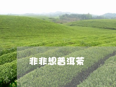 非非想普洱茶/2023042958280