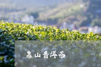 靠山普洱茶/2023090563917