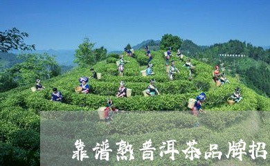 靠谱熟普洱茶品牌招商/2023092543825