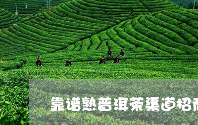 靠谱熟普洱茶渠道招商/2023092577048