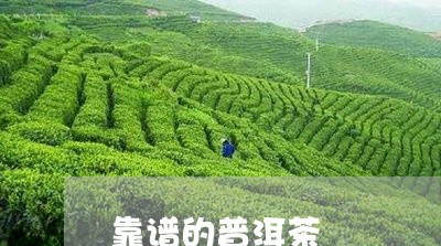 靠谱的普洱茶/2023042974982