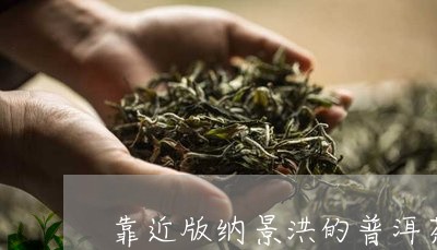 靠近版纳景洪的普洱茶/2023062485959