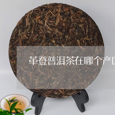 革登普洱茶在哪个产区/2023092930590