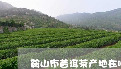 鞍山市普洱茶产地在哪儿/2023110817058