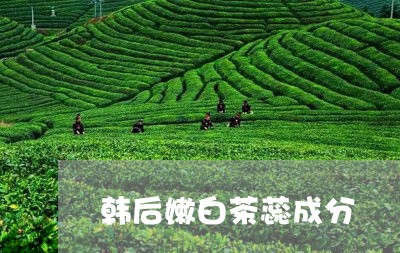 韩后嫩白茶蕊成分/2023071377278