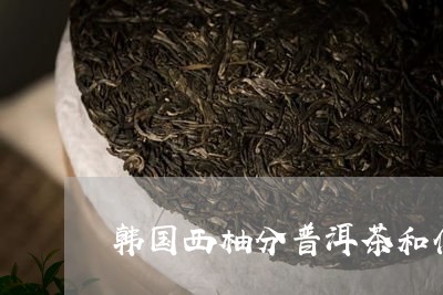 韩国西柚分普洱茶和什么茶/2023121869473