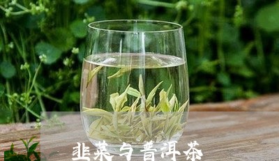 韭菜与普洱茶/2023042724996