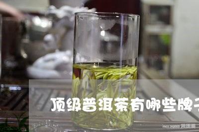 顶级普洱茶有哪些牌子/2023100782827