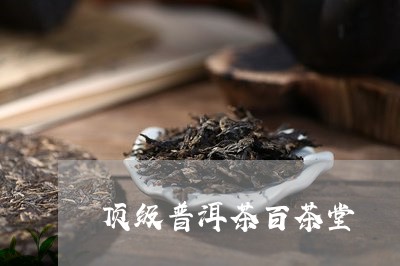 顶级普洱茶百茶堂/2023101616269