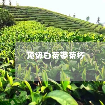 顶级白茶带茶杯/2023111717241