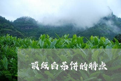 顶级白茶饼的特点/2023071331784