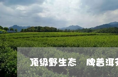 顶级野生态楴牌普洱茶/2023093066405