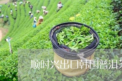 顺时兴出口韩国普洱茶/2023062752725