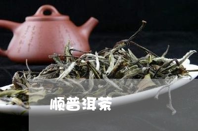 顺普洱茶/2023110892792