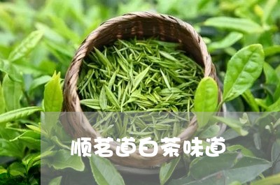 顺茗道白茶味道/2023061025042