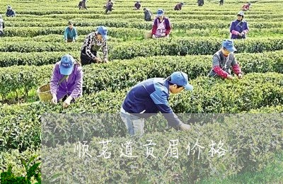 顺茗道贡眉价格/2023061077372