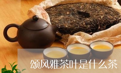 颂风雅茶叶是什么茶/2023042682504