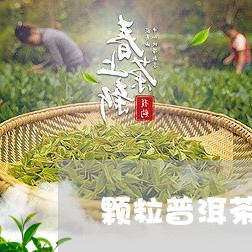 颗粒普洱茶的冲泡方法窍门是/2023110881704