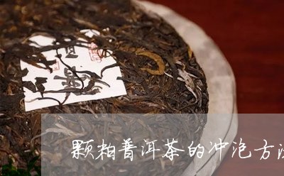 颗粒普洱茶的冲泡方法视频讲解/2023121839471