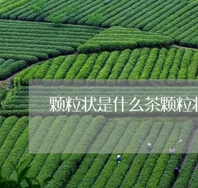 颗粒状是什么茶颗粒状普洱茶怎么喝/2023060381937