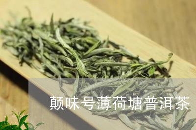 颠味号薄荷塘普洱茶/2023121827351