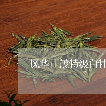 风华正茂特级白牡丹/2023120664827