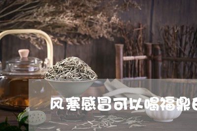 风寒感冒可以喝福鼎白茶吗/2023092540624