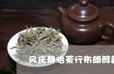 风庆静怡茶行布朗醇普洱熟茶/2023052706268