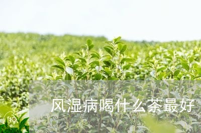 风湿病喝什么茶最好/2023042105037