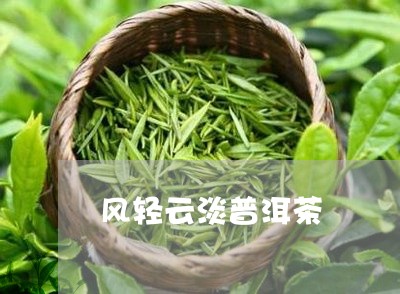 风轻云淡普洱茶/2023081882737