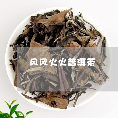 风风火火普洱茶/2023120387260