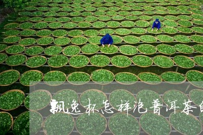 飘逸杯怎样泡普洱茶的/2023083127149