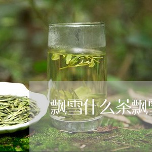 飘雪什么茶飘雪茶图片唯美图片/2023060124158