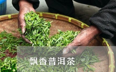 飘香普洱茶/2023090506351